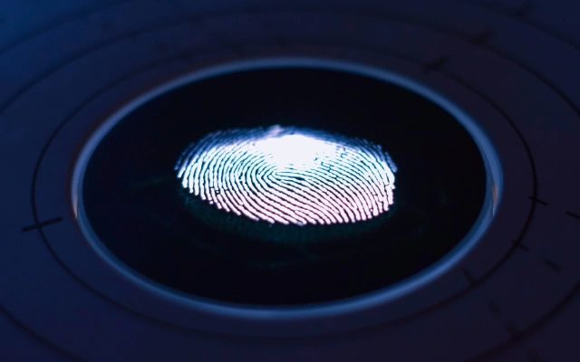 The neural network discovered the similarity of fingerprints of different fingers of one person